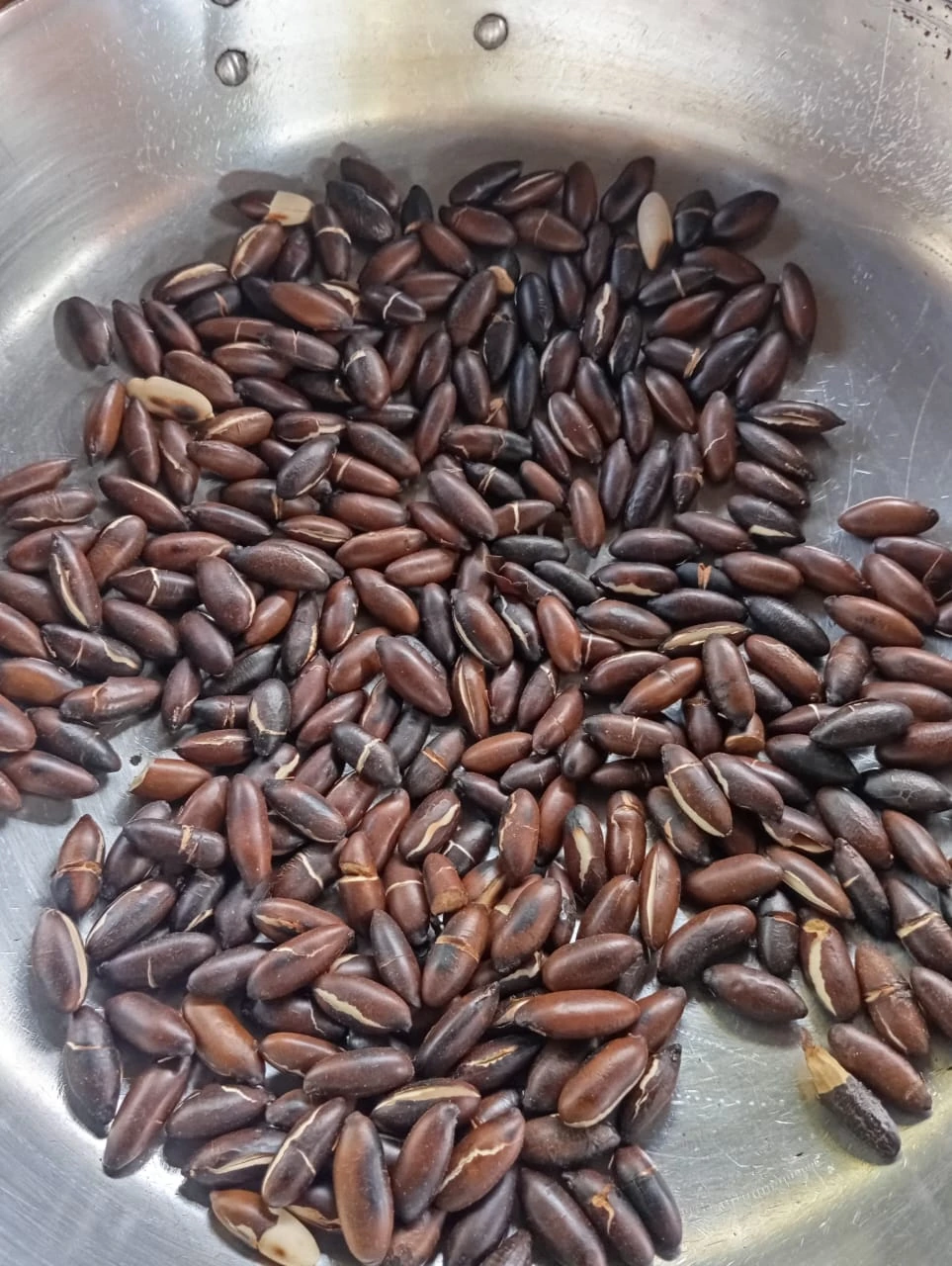 Castanhas de baru da COPPAB