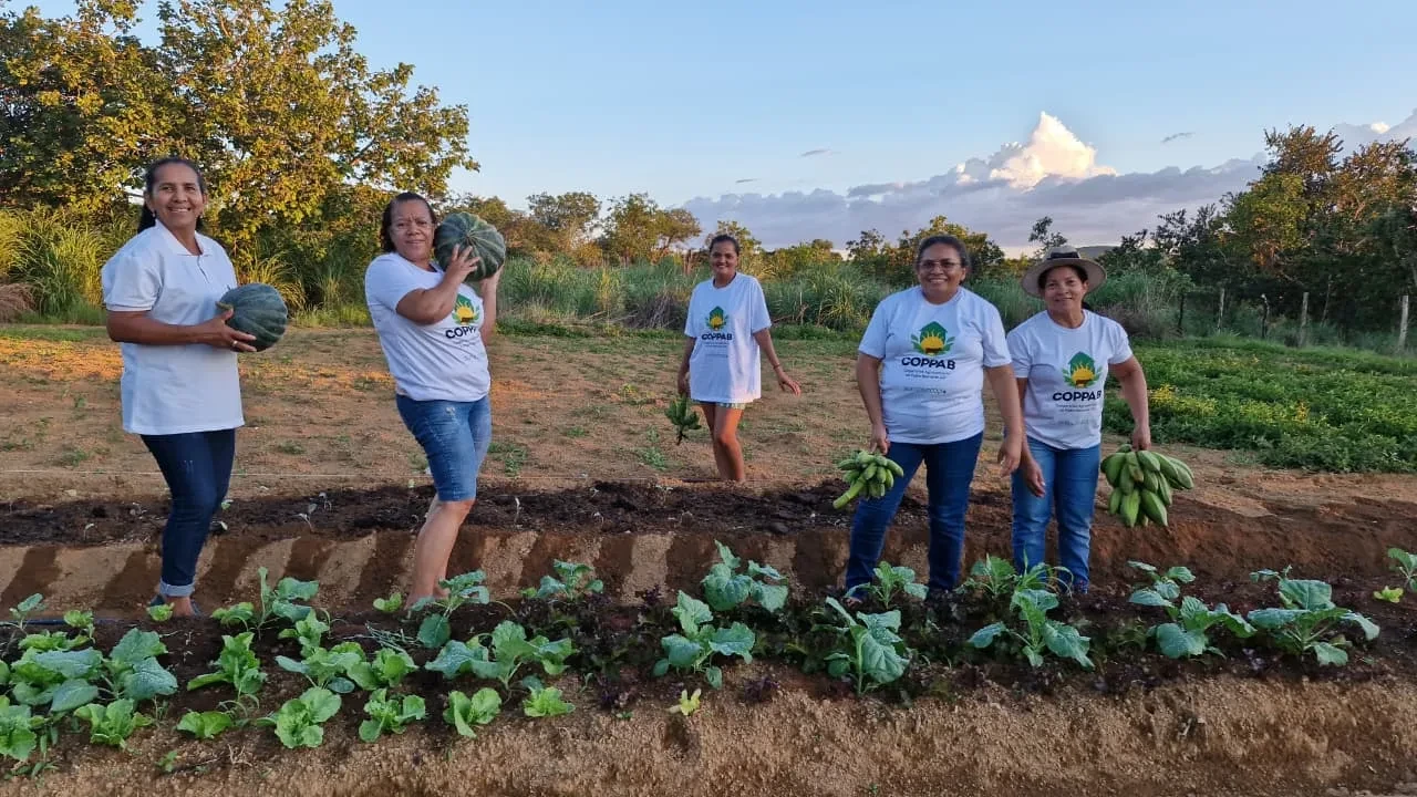 Cinco agricultoras da COPPAB com abóboras e bananas na horta da cooperativa